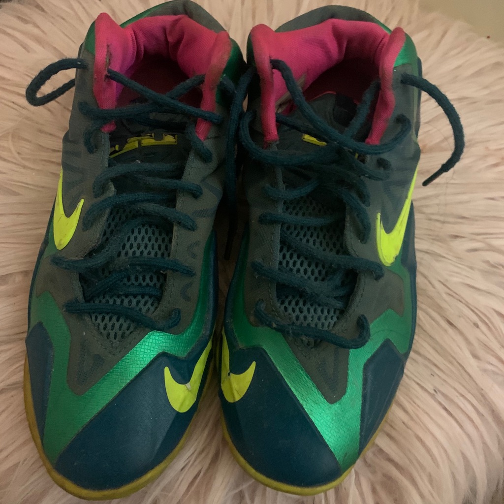 Lebron Sneakers